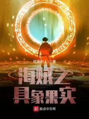 海贼之具象果实封面