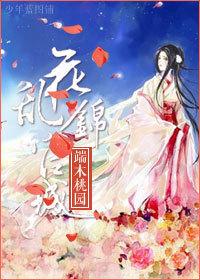 花乱锦官城封面