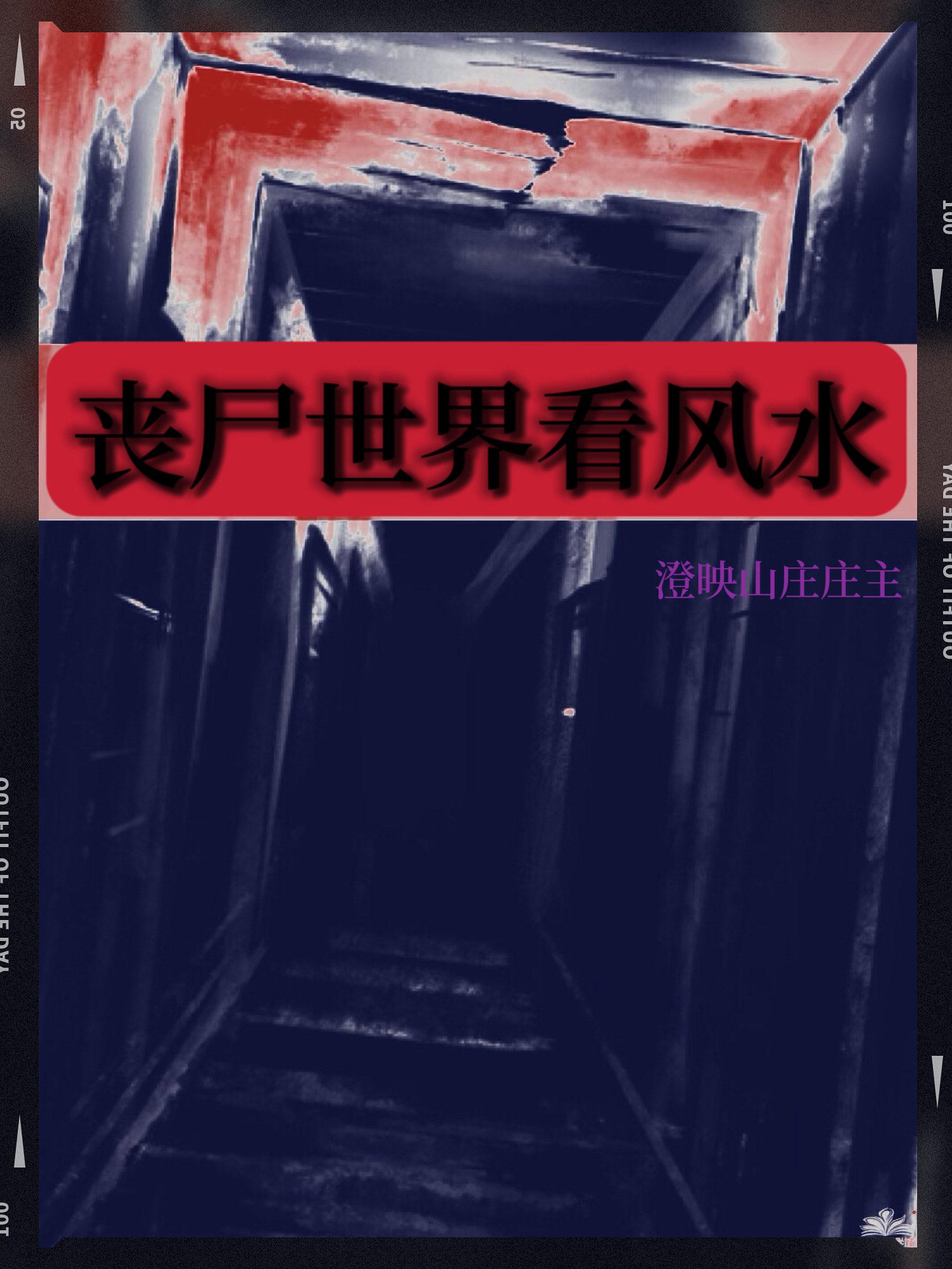 风水师她兼职砍丧尸封面