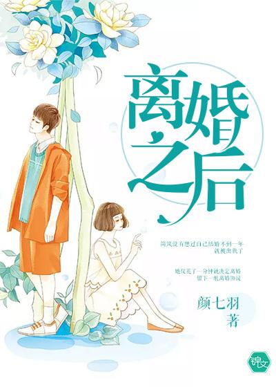 离婚之后封面