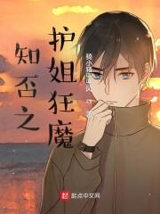 知否之护姐狂魔封面