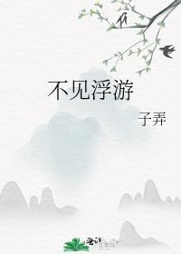 不见浮游封面