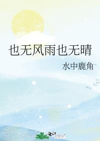 也无风雨也无晴封面