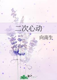 二次心动封面