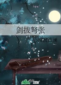 剑拔弩张封面