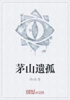 茅山遗孤封面