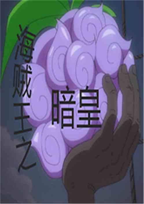 海贼王之暗皇封面