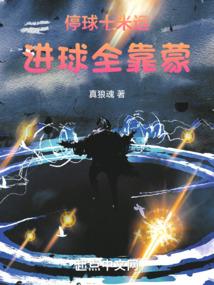 狂野1995封面