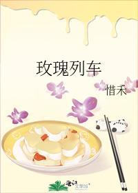 玫瑰列车封面