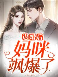 退婚后妈咪飒爆了封面