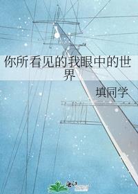 你所看见的我眼中的世界封面