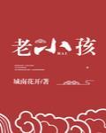 神家里的老小孩封面