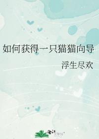 如何获得一只猫猫向导封面