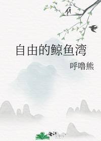 自由的鲸鱼湾封面