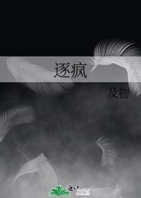 逐疯封面