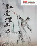 红尘烟雨录封面