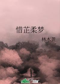 惜芷柔梦封面
