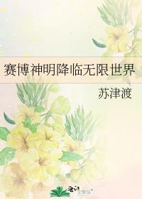 赛博神明降临无限世界封面