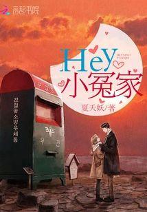 Hey小冤家封面