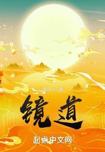 镜道封面