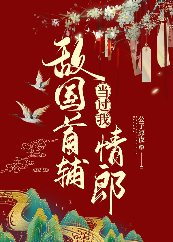 敌国首辅当过我情郎封面