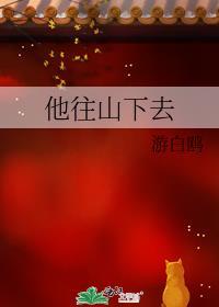 他往山下去封面