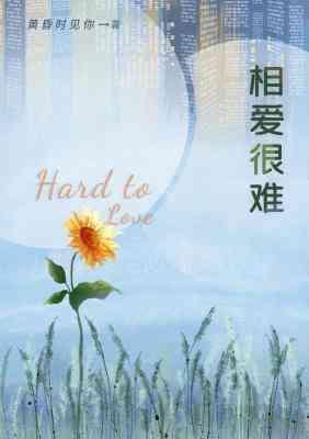 相爱很难封面