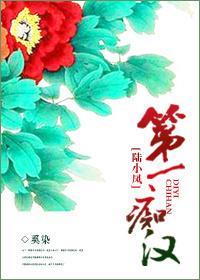 第一痴汉封面