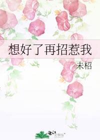 想好了再招惹我封面