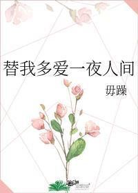 替我多爱一夜人间封面