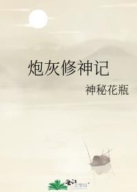 炮灰修神记封面