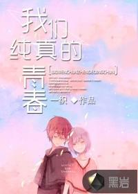 我们纯真的青春封面