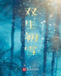 双生初雪封面