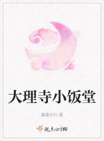 大理寺小饭堂封面