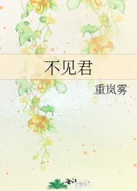 不见君封面