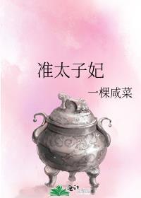 准太子妃封面