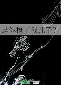 是你抢了我儿子？封面