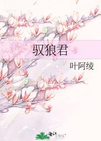 驭狼君封面