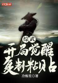 综武:开局觉醒覆制粘贴封面