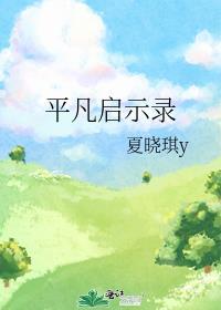 平凡启示录封面