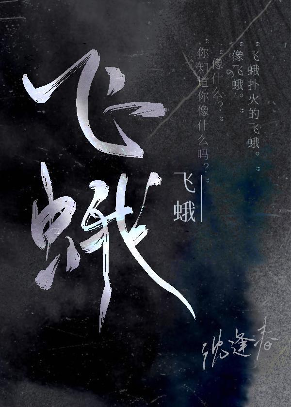 飞蛾封面