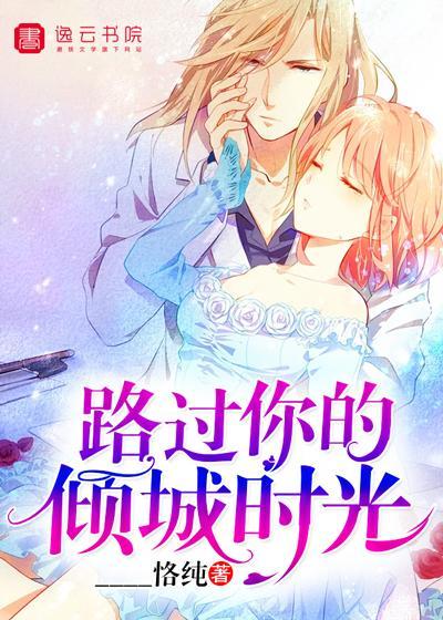 路过你的倾城时光封面