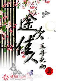 途次佳人封面