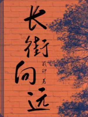 长街向远封面
