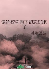 傲娇校草抛下初恋逃跑了封面