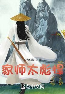 家师太彪悍封面