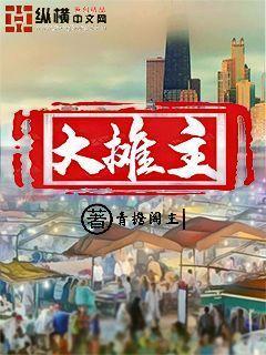 大摊主封面