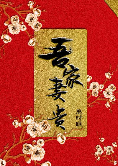 吾家妻贵封面