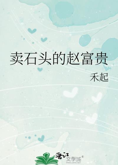 卖石头的赵富贵封面