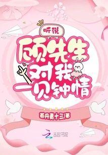 听说顾先生对我一见钟情封面